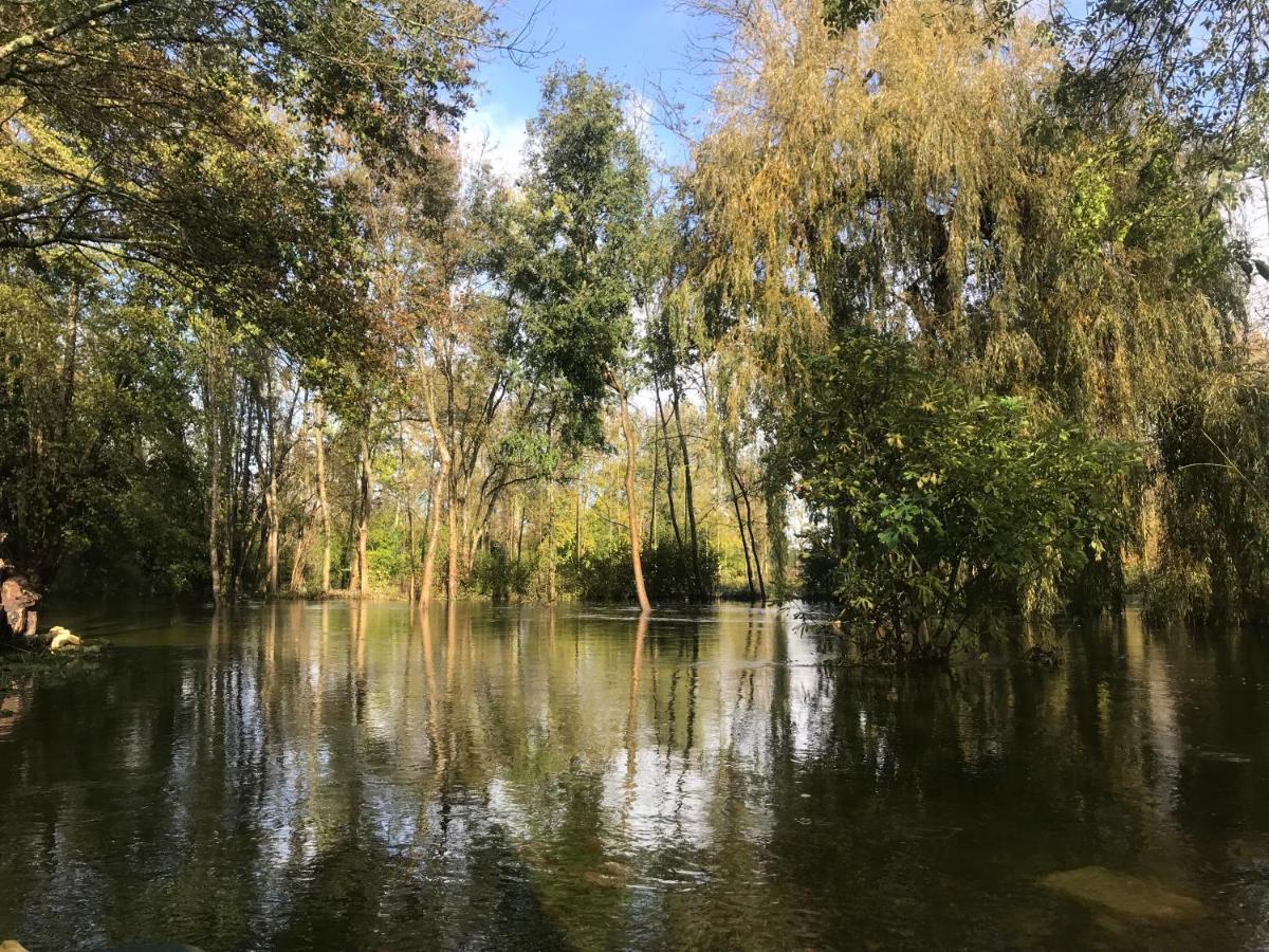 Ancien Moulin A Eau Sur La Seugne Apartment Mosnac  Exterior foto